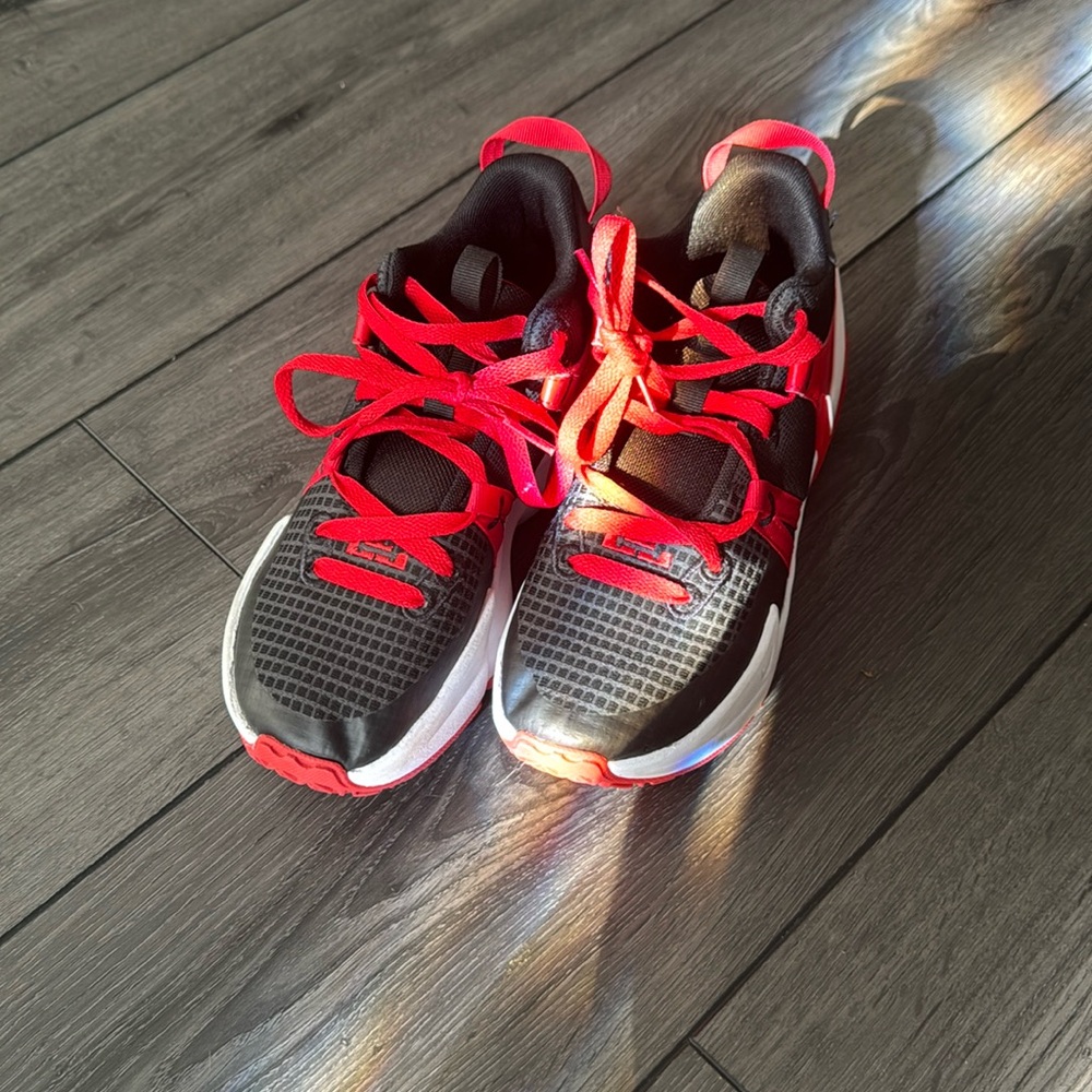 LeBron James Basketball Sneakers